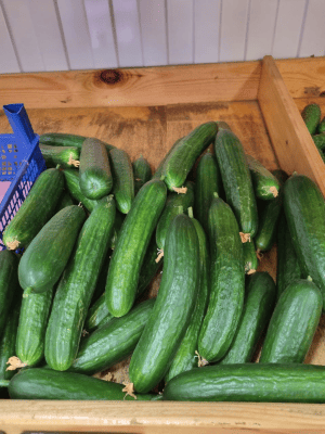 Огурец Длинный