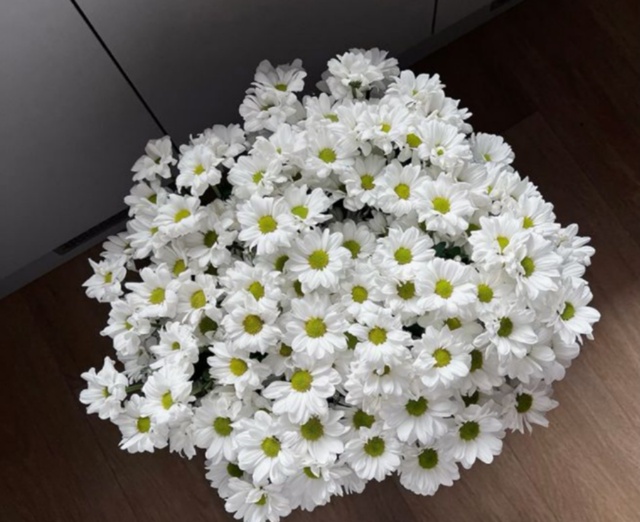 Ромашковая хризантема