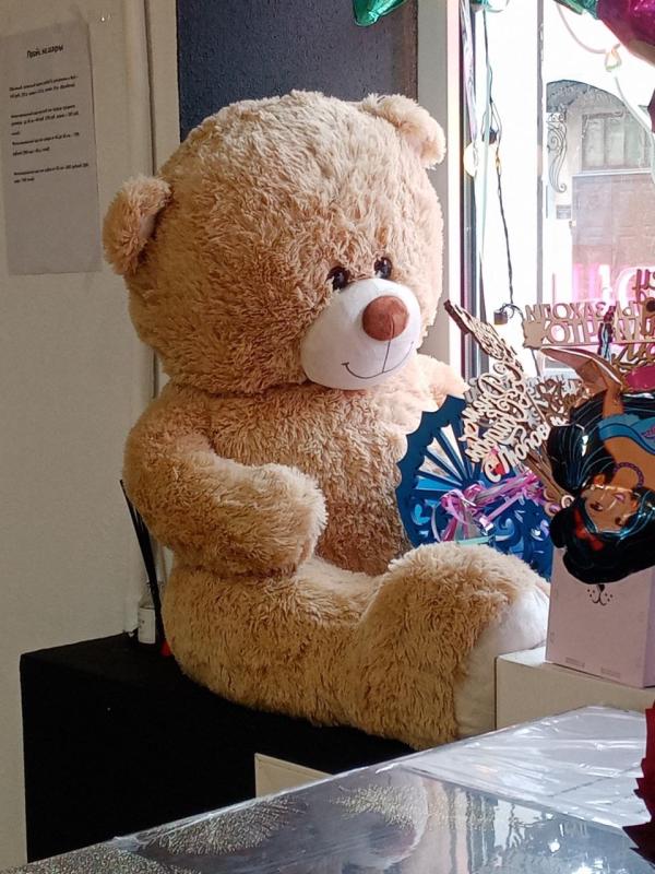 Медведь коричневый большой