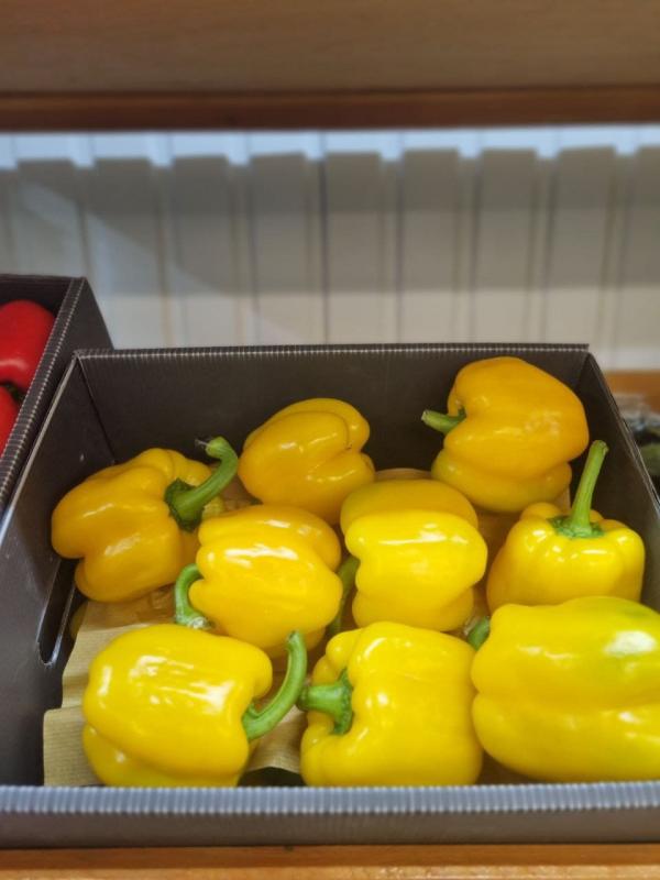 Перец желтый