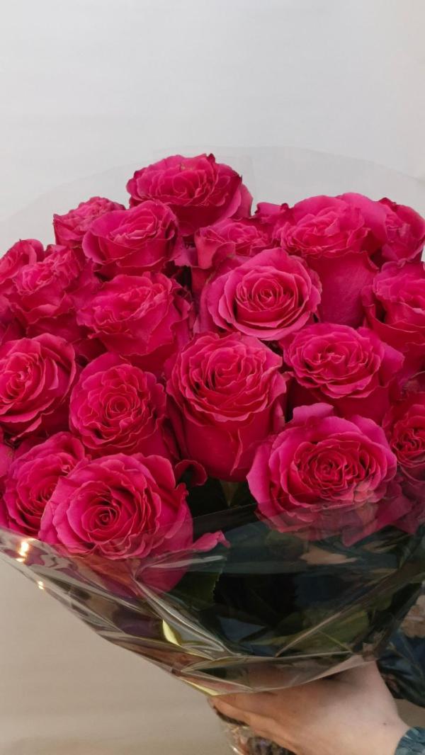 Роза Хот Спот