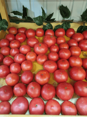 Помидор розовый