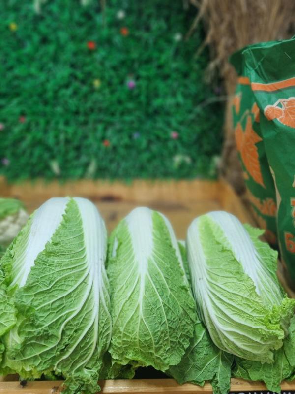 Пекинская капуста