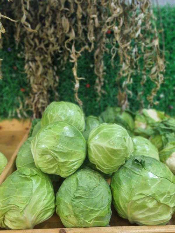 Капуста молодая