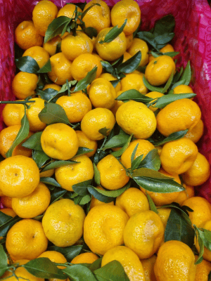 Мандарины бейби