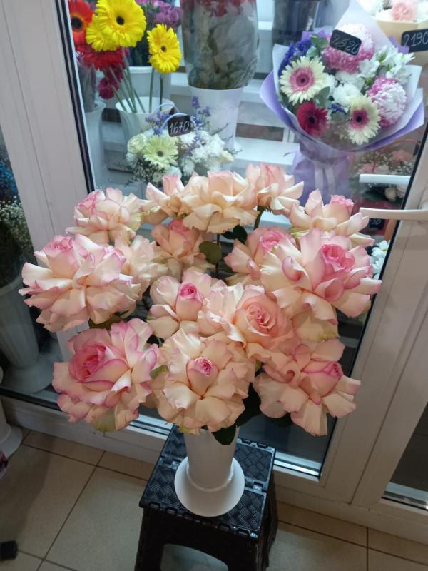 Французские розы